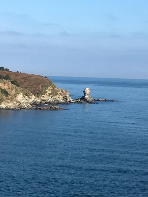 Hotel Ibis Styles Collioure Port Vendres Esterno foto